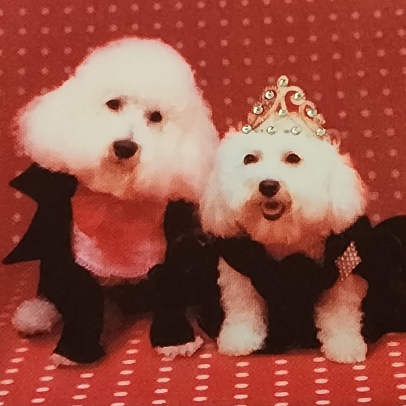 CHANGE PURSE BICHON FRISE PET COLLECTION  FABRIC ZIP TOP - Picture 1 of 9